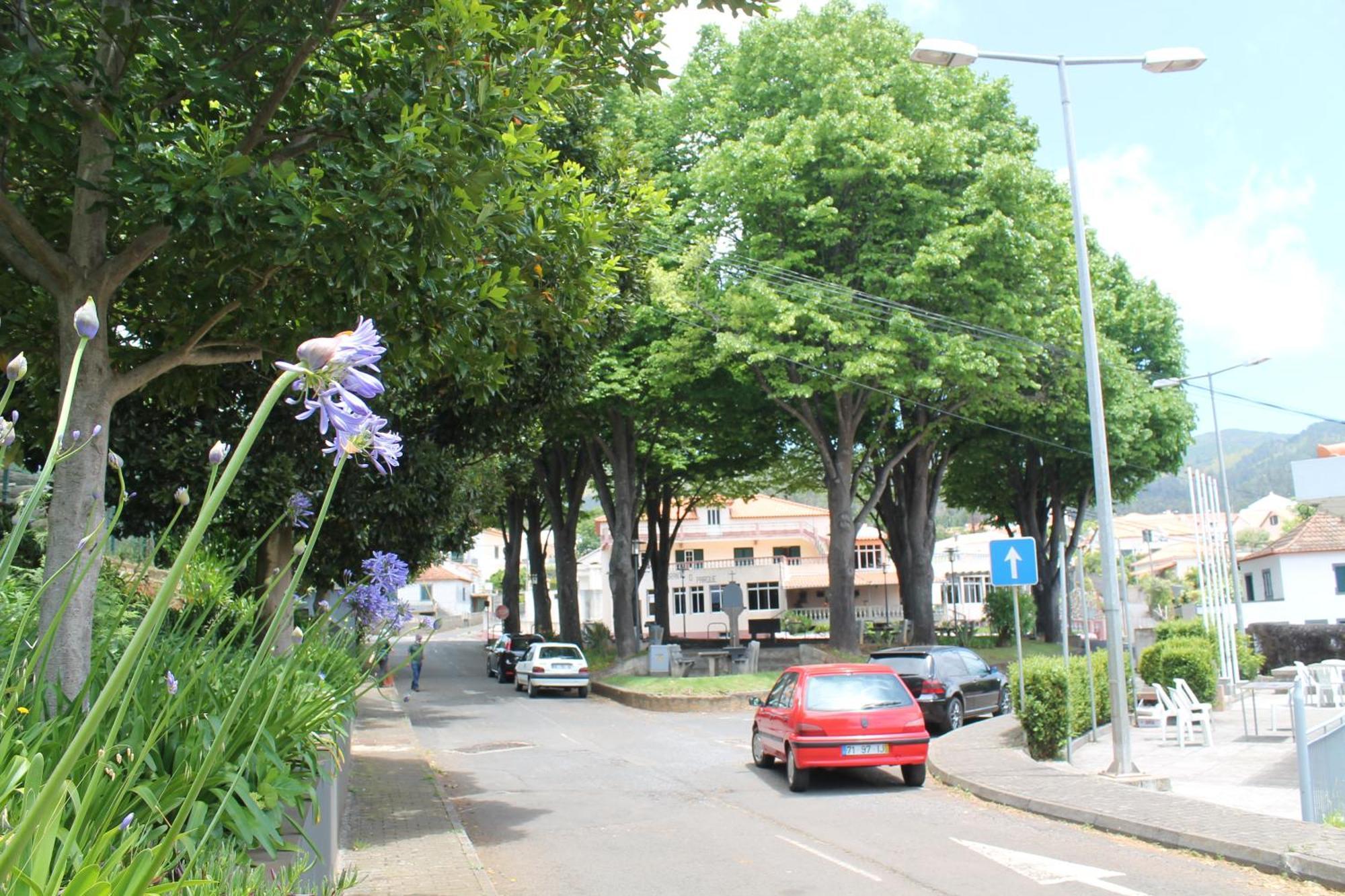 Ourmadeira - Seaview Apartment, Countryside Calheta  Buitenkant foto